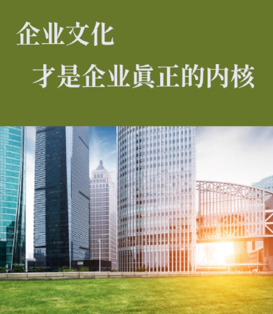 院线美容仪器定制代工与门店运营帮扶一体化方案解析